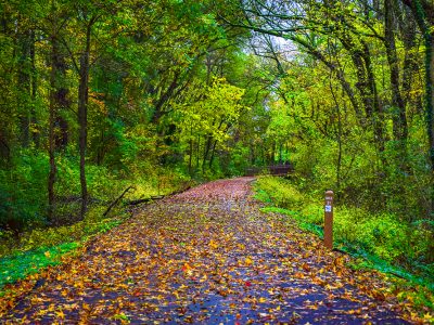 Swamp Rabbit Trail in Downtown Greenville South Carolina SC